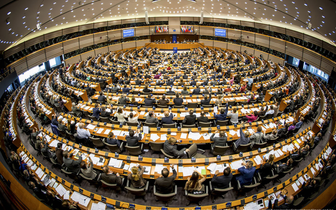 How the European Parliament works?