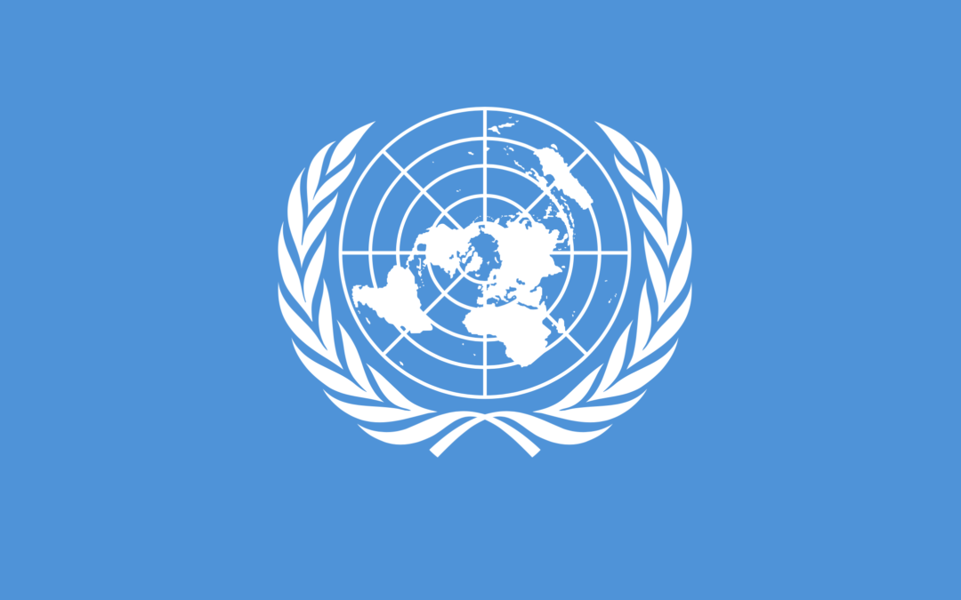 United Nations theoretical and a policy issue